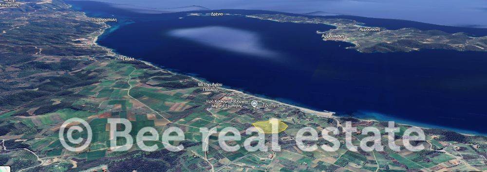 Άποψη εξωτερικού χώρου