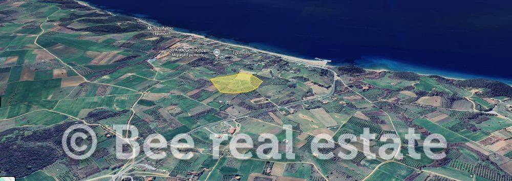 Άποψη εξωτερικού χώρου