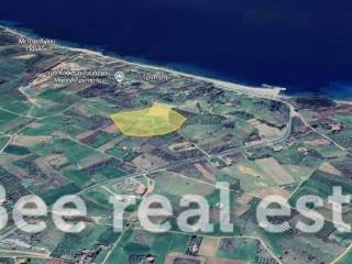 Άποψη εξωτερικού χώρου