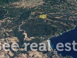 Άποψη εξωτερικού χώρου