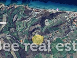 Άποψη εξωτερικού χώρου