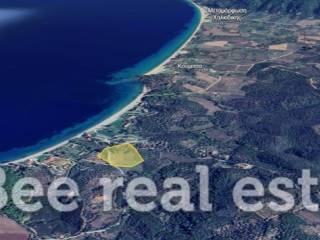 Άποψη εξωτερικού χώρου