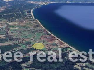 Άποψη εξωτερικού χώρου