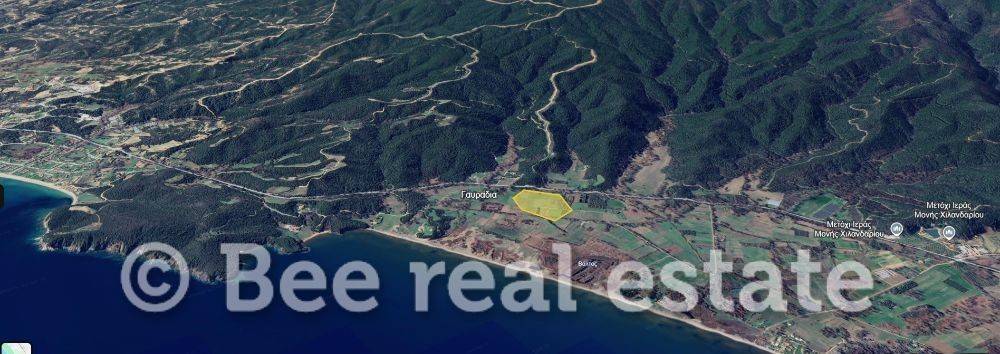 Άποψη εξωτερικού χώρου