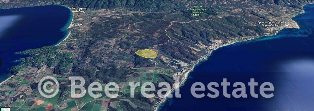 Άποψη εξωτερικού χώρου