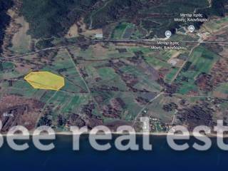 Άποψη εξωτερικού χώρου