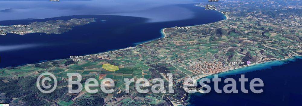 Άποψη εξωτερικού χώρου