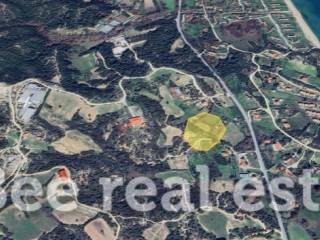 Άποψη εξωτερικού χώρου