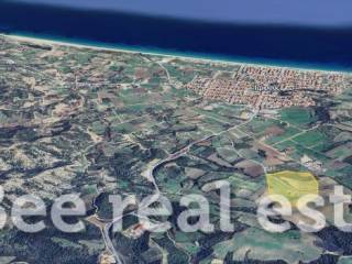 Άποψη εξωτερικού χώρου