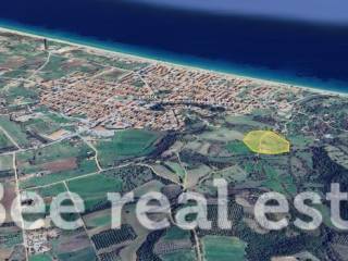 Άποψη εξωτερικού χώρου