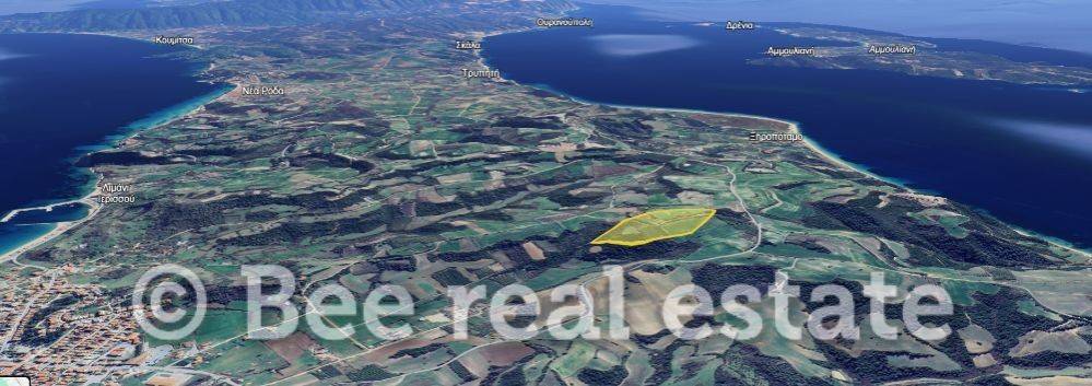 Άποψη εξωτερικού χώρου