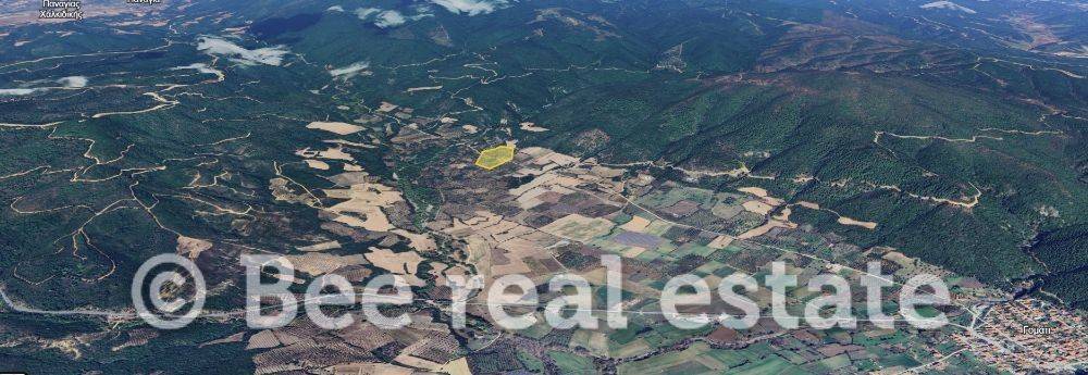 Άποψη εξωτερικού χώρου