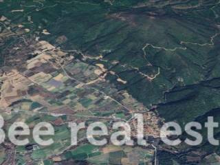 Άποψη εξωτερικού χώρου