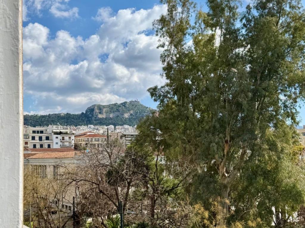 mouseio_residential_apartment_for_rent