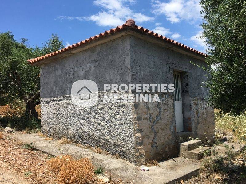 Εξωτερικός χώρος