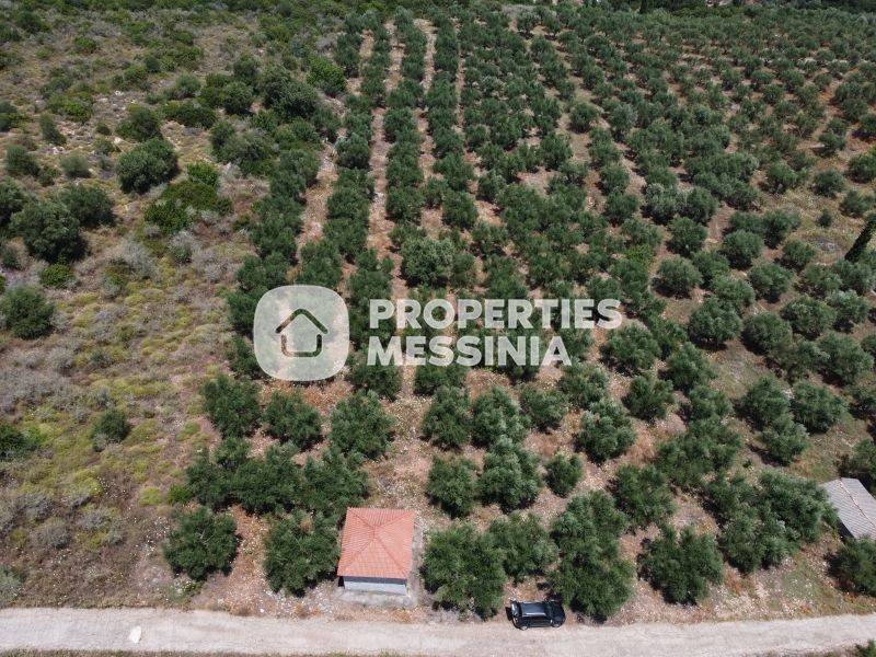 Εξωτερικός χώρος