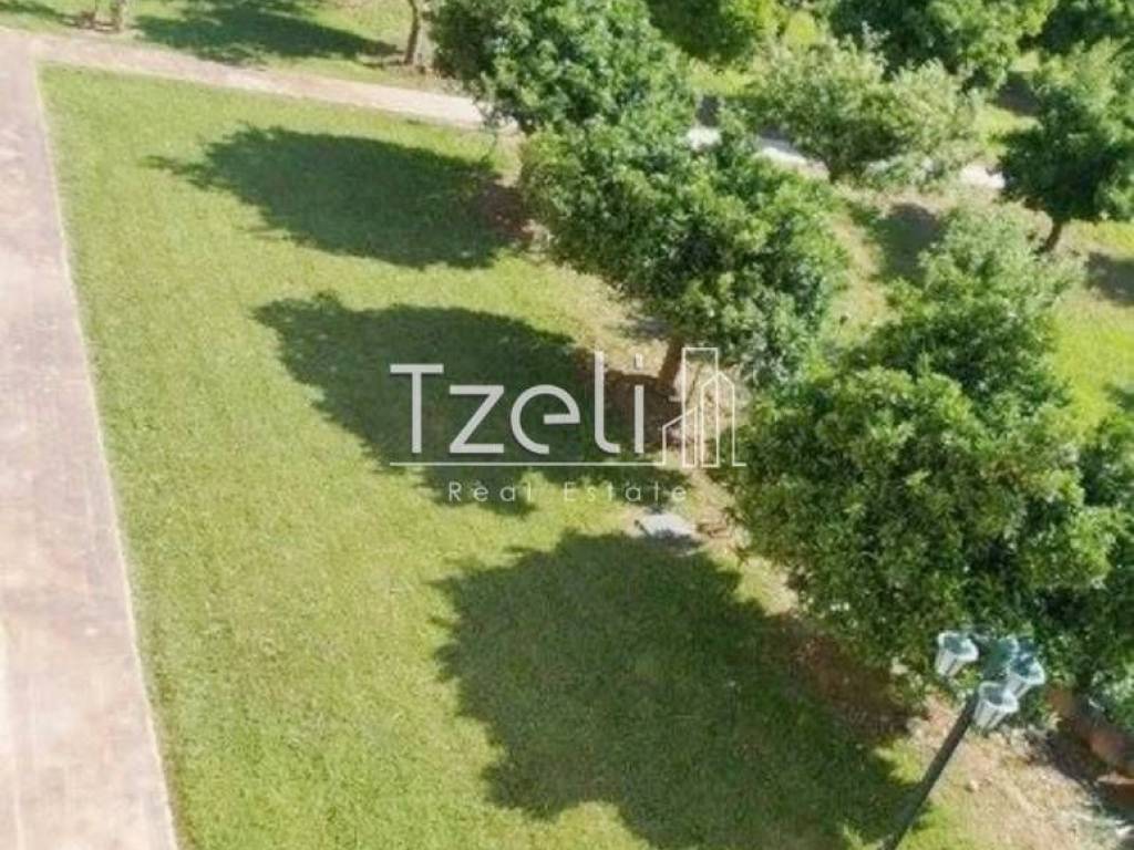 Άποψη οικοπέδου