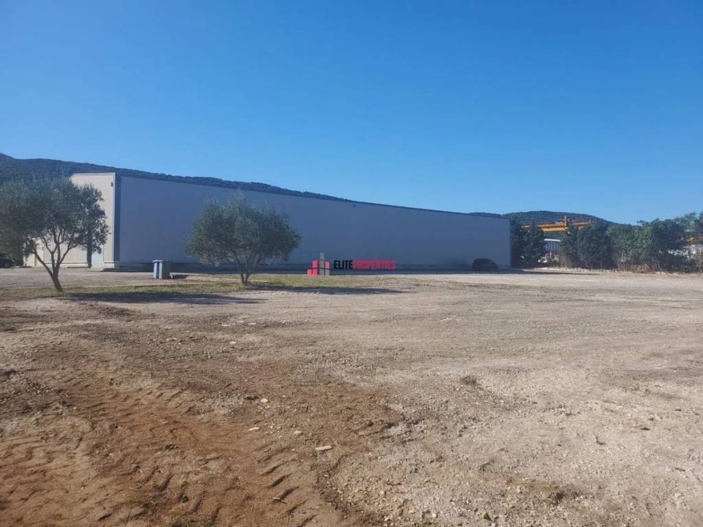 ΕΞΩΤΕΡΙΚΟΣ ΧΩΡΟΣ