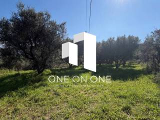 Αγροτεμάχιο