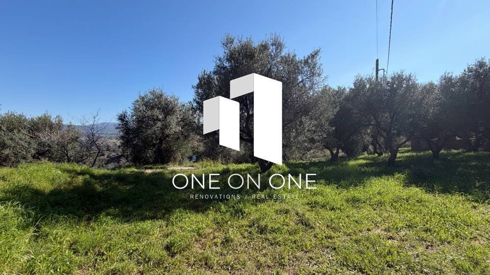 Αγροτεμάχιο