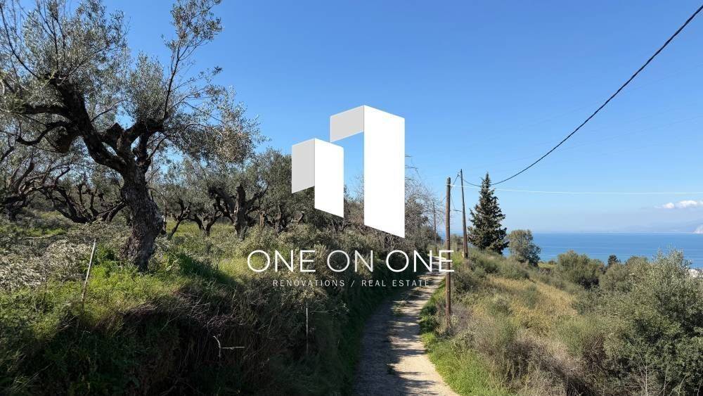 Αγροτεμάχιο