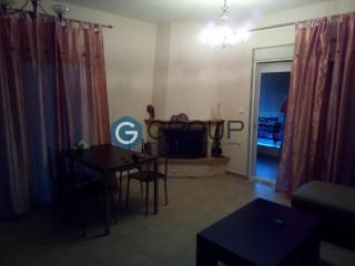 Σαλοκουζίνα