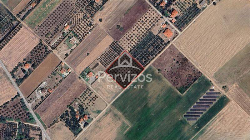 Κάτοψη,Άποψη χώρου