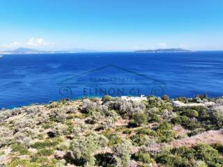 Το αγροτεμάχιο βρίσκετε πάνω στη θάλασσα