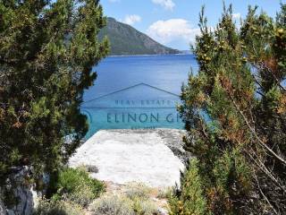 Το αγροτεμάχιο βρίσκετε πάνω στη θάλασσα