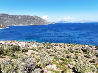 Το αγροτεμάχιο βρίσκετε πάνω στη θάλασσα