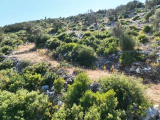 Το αγροτεμάχιο βρίσκετε πάνω στη θάλασσα