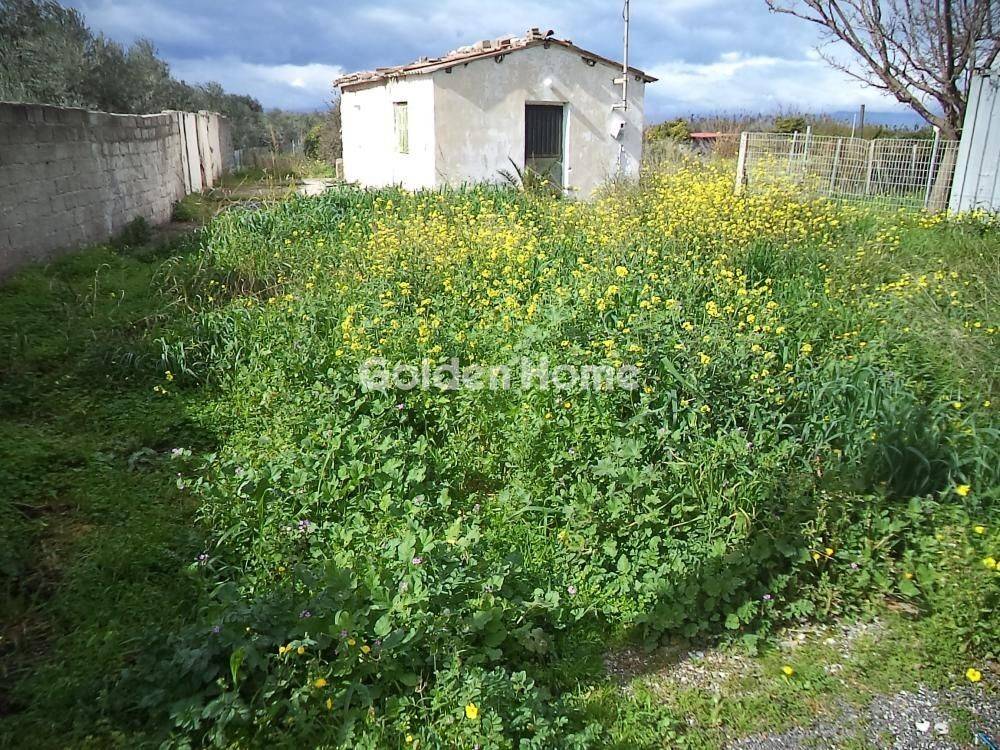 Εξωτερικός Χώρος