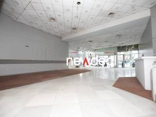 Lolo newdeal007.jpeg