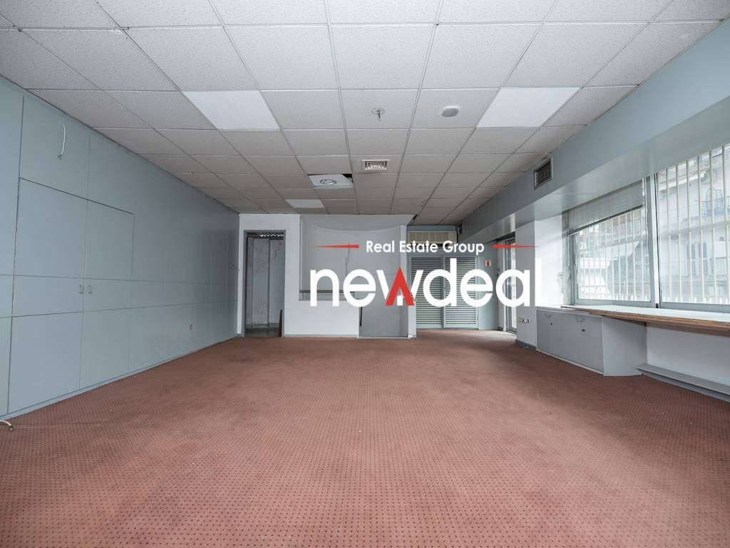 Lolo newdeal032.jpeg