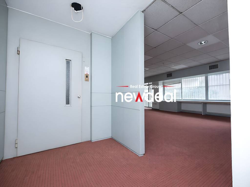 Lolo newdeal031.jpeg