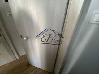 Leptomereies Akinetoy