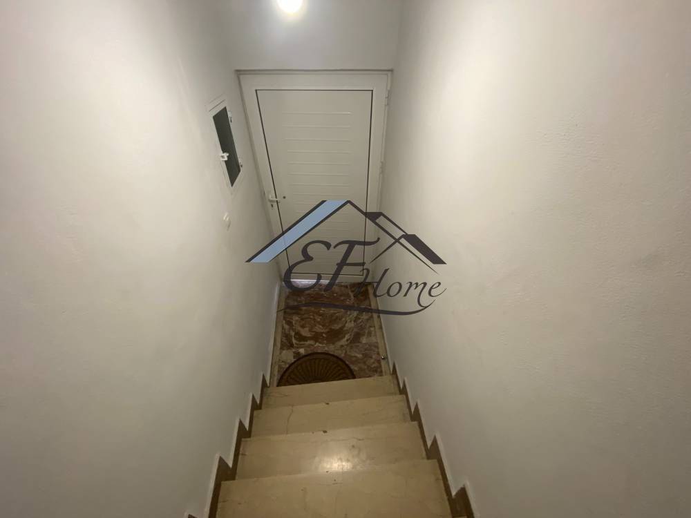 Leptomereies Akinetoy