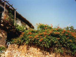 Forumland Real Estate, Οικόπεδο 780τ.μ.