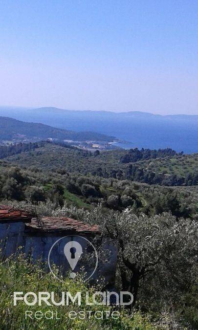 Forumland Real Estate, Οικόπεδο 780τ.μ.