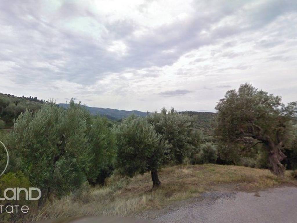 Forumland Real Estate, Οικόπεδο 780τ.μ.