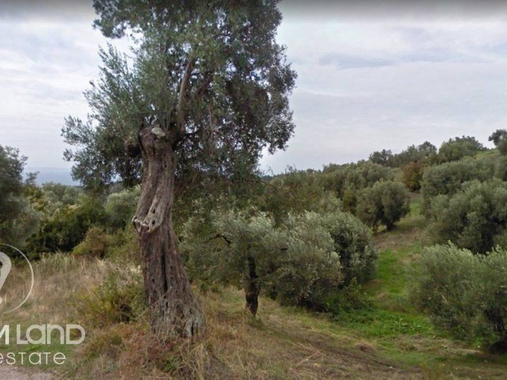 Forumland Real Estate, Οικόπεδο 780τ.μ.