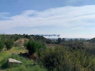 Εξωτερικοι χώροι