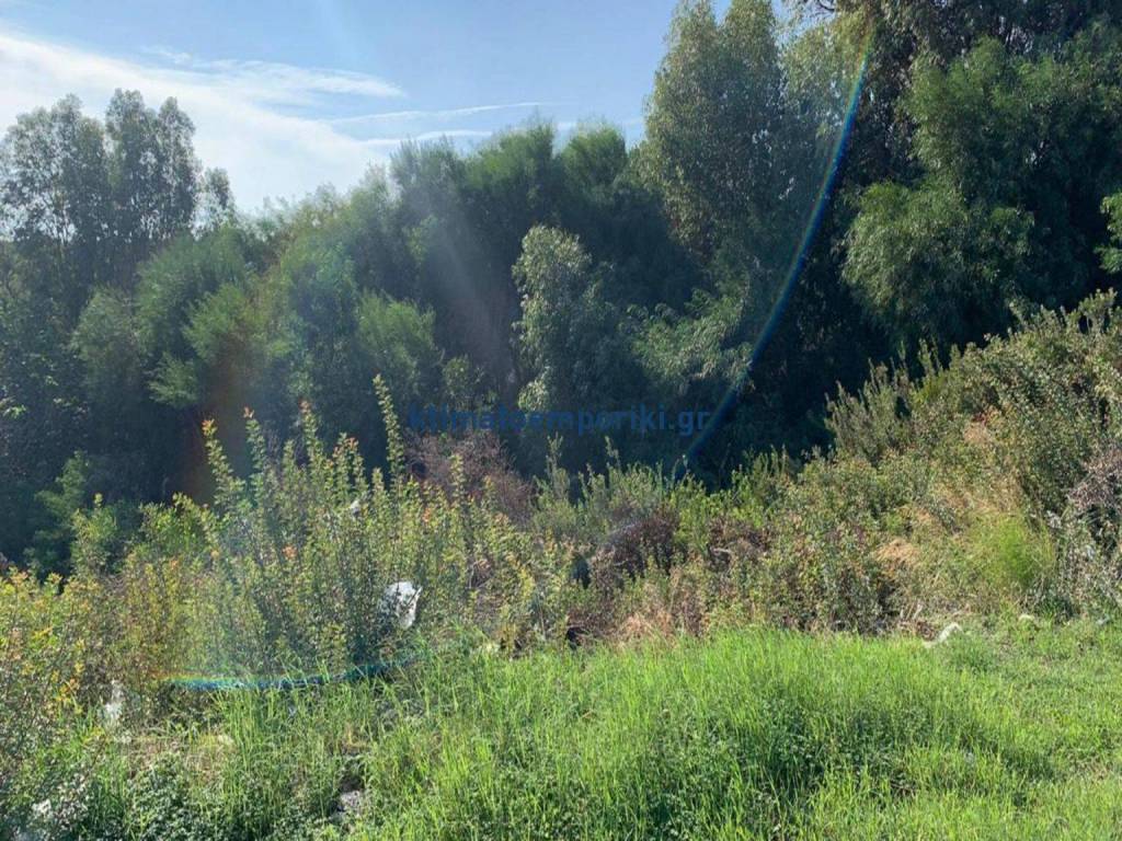 Εξωτερικοι χώροι