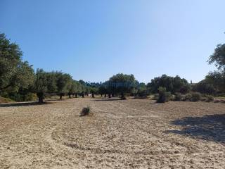 Εξωτερικοι χώροι