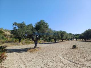 Εξωτερικοι χώροι