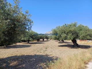 Εξωτερικοι χώροι