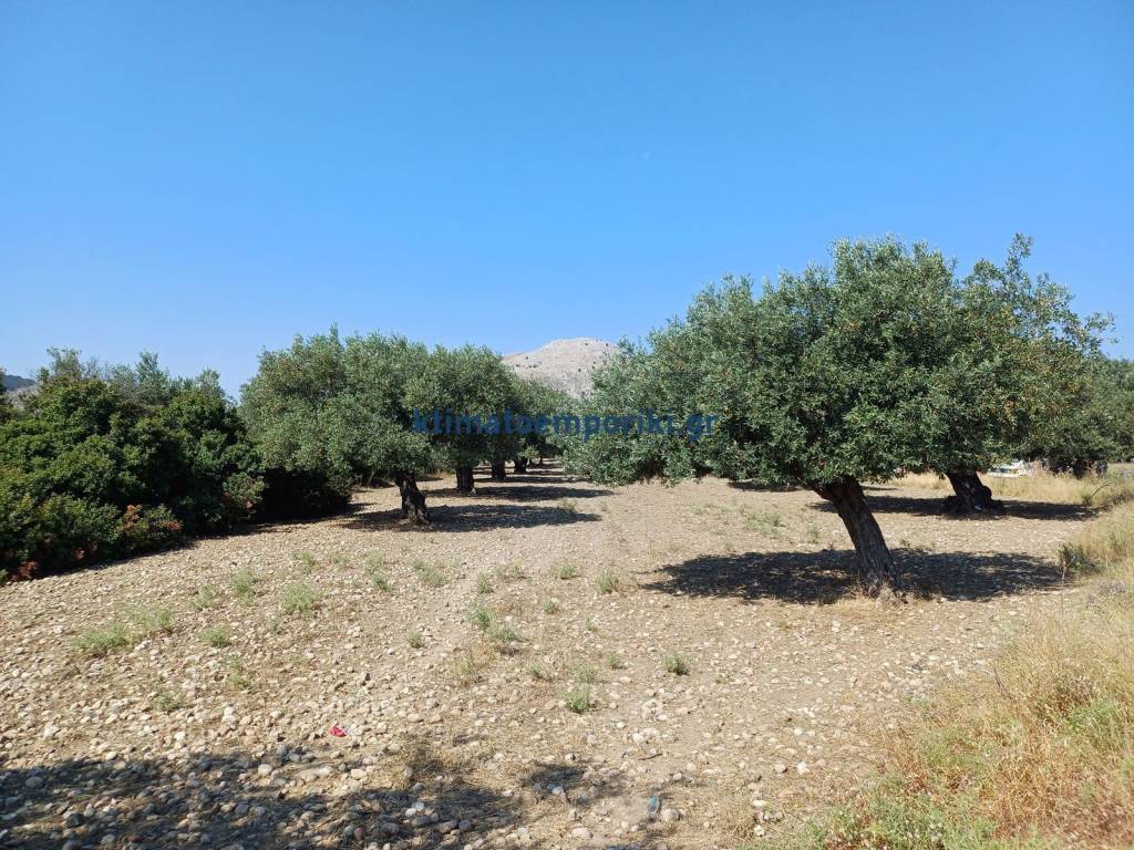 Εξωτερικοι χώροι