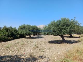 Εξωτερικοι χώροι