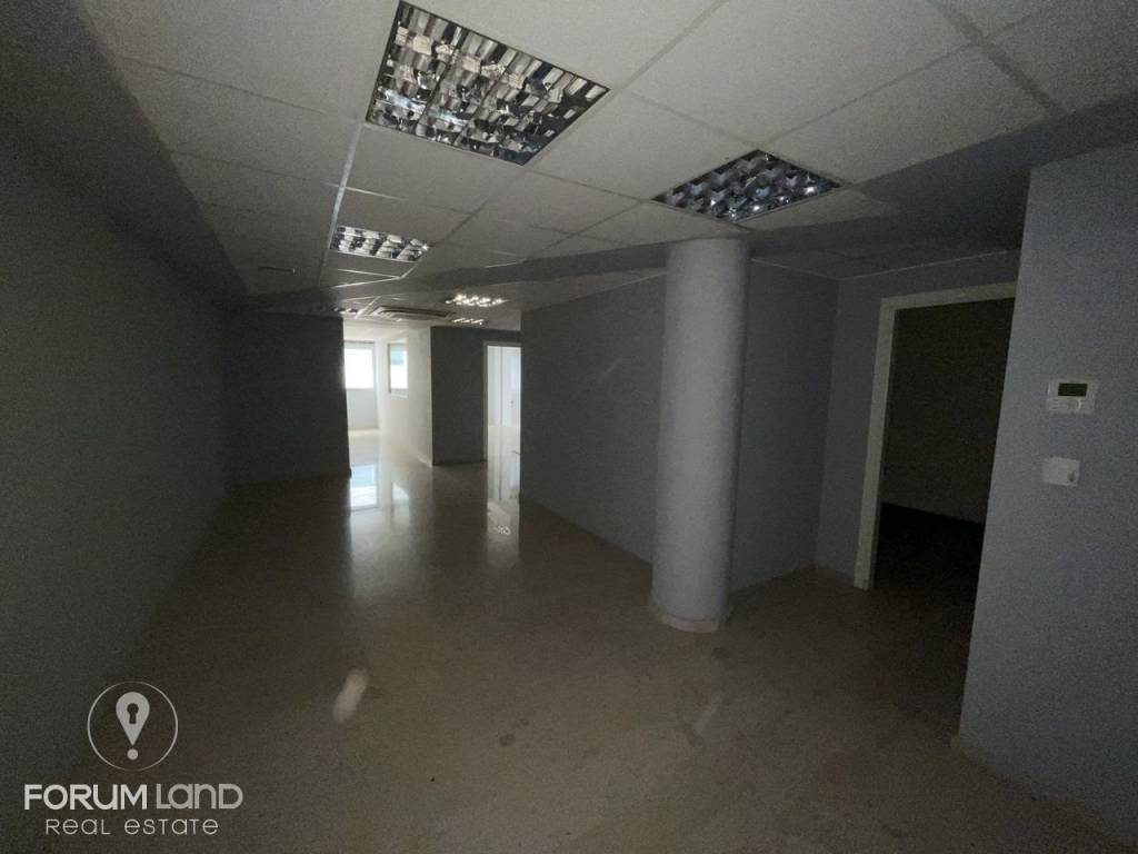 Forumland Real Estate, επαγγελματικός χώρος