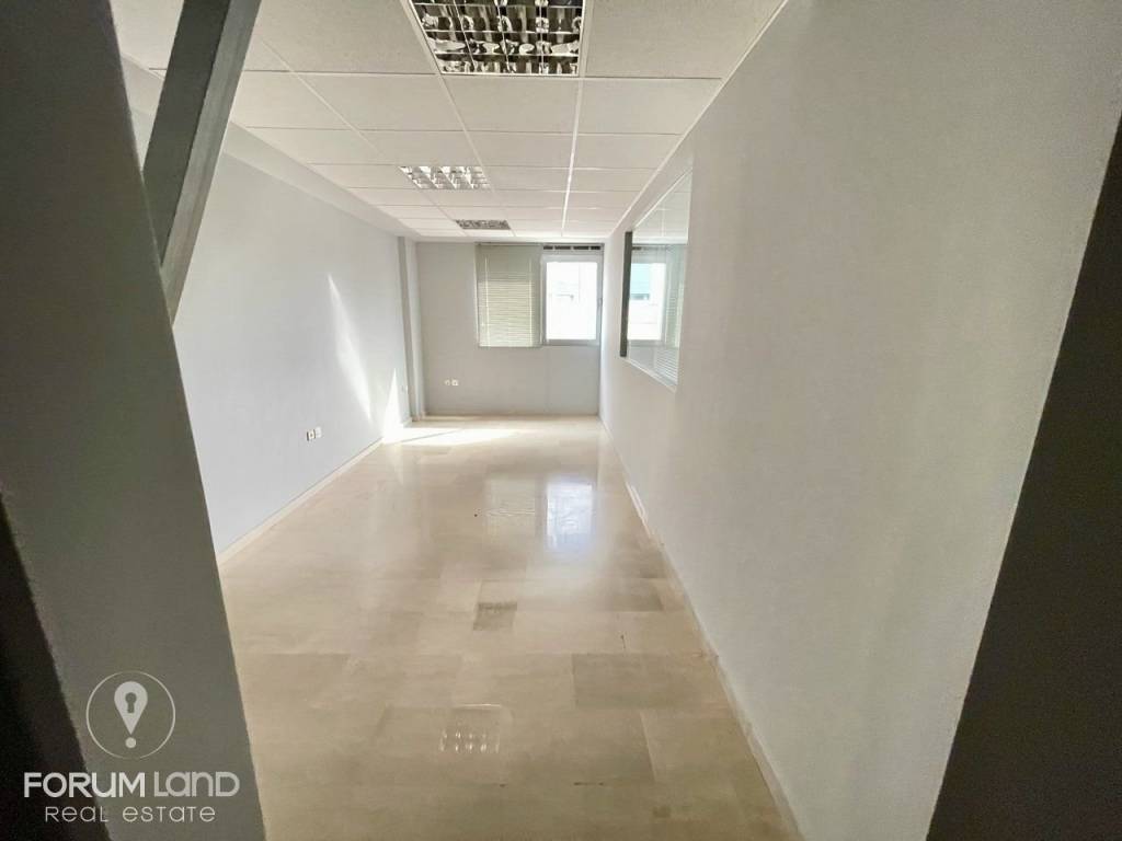 Forumland Real Estate, Επαγγελματικός χώρος